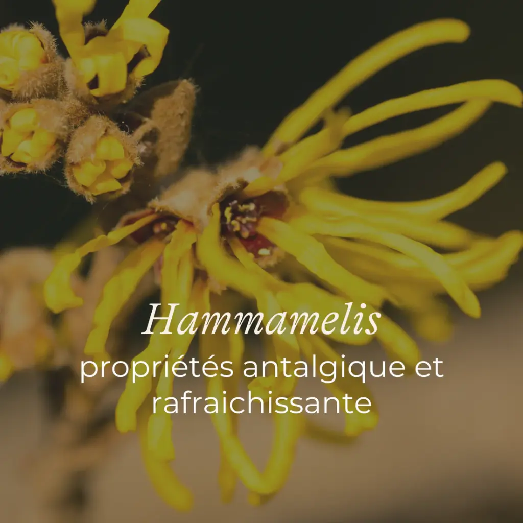 serviette fraicheur5.webp