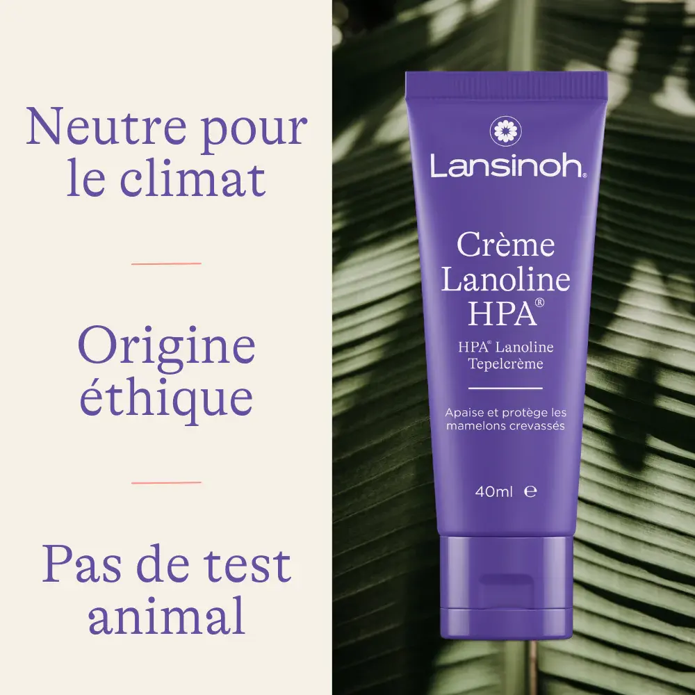 Lanoline7.webp