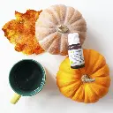 grog-aromatique-bio (1).webp