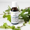 macerat-de-bourgeons-aubepine-bio.webp