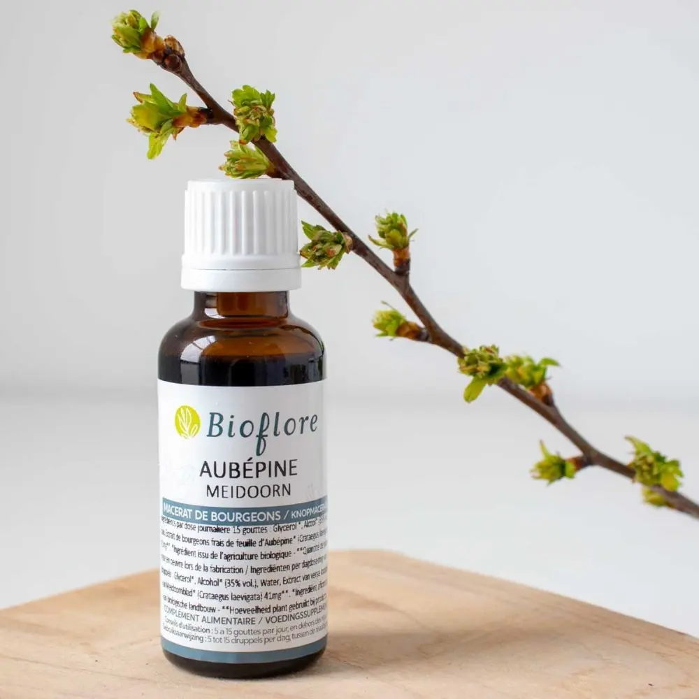 macerat-de-bourgeons-aubepine-bio (1).webp