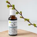 macerat-de-bourgeons-aubepine-bio (1).webp