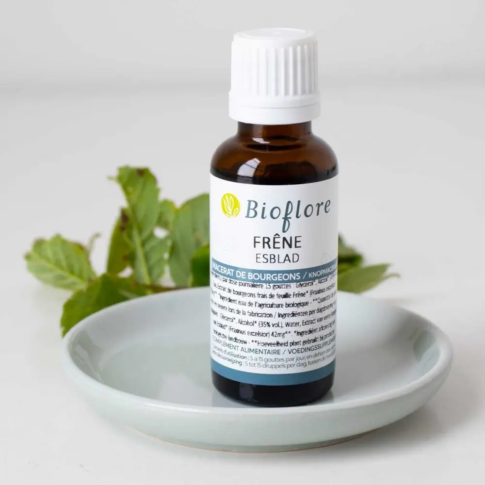 macerat-de-bourgeons-de-frene-bio.webp