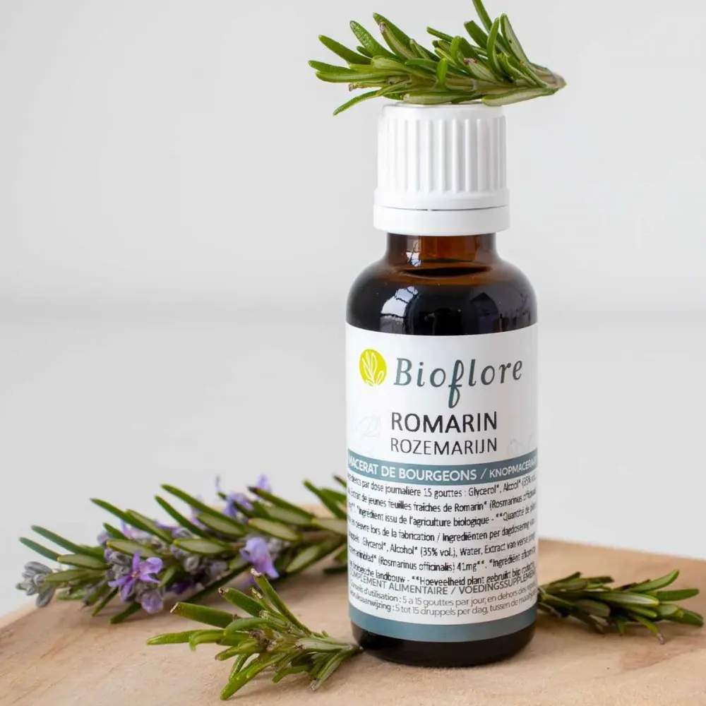 macerat-de-bourgeons-de-romarin-bio (2).webp