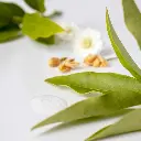 serum-hydratant-a-la-fleur-doranger (2).webp