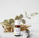 Huile essentielle d’Eucalyptus radié bio – 10 ml 2.webp