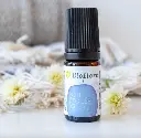 Roll-on Nuit Étoilée – 5 ml 1.webp