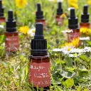 huile-visage-de-printemps-bio (1).webp