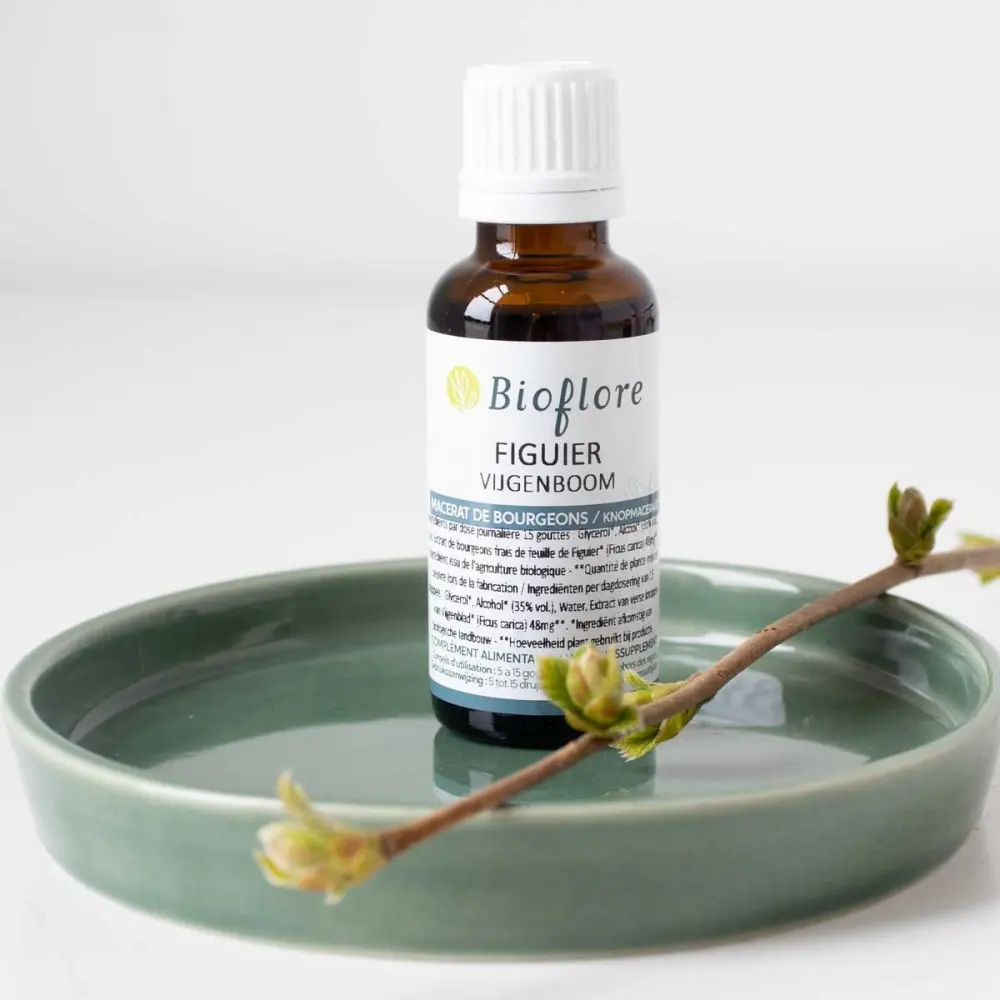 macerat-de-bourgeons-de-figuier-bio (1).webp