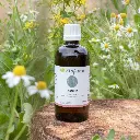 arnica-macerat-huileux-bio.webp