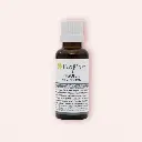 Macérat de Bourgeons de Framboisier Bio – Bioflore (30 ml)