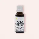 Macérat de Bourgeons d’Aubépine Bio - Bioflore