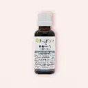 Macérat de Bourgeons de Romarin Bio - Bioflore 