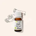 Huile essentielle de Cannelle de Ceylan bio – 5 ml
