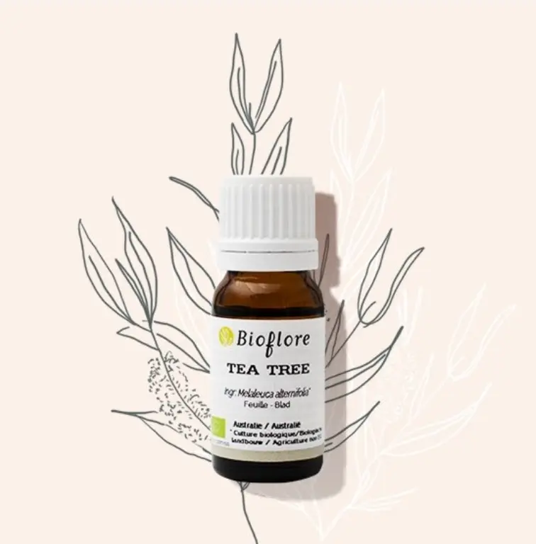 Huile essentielle de Tea Tree (Arbre à thé) d’Australie bio – 10 ml