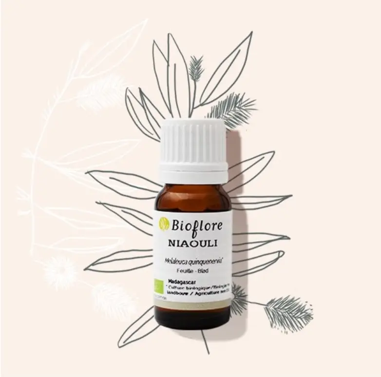 Huile essentielle de Niaouli bio – 10 ml