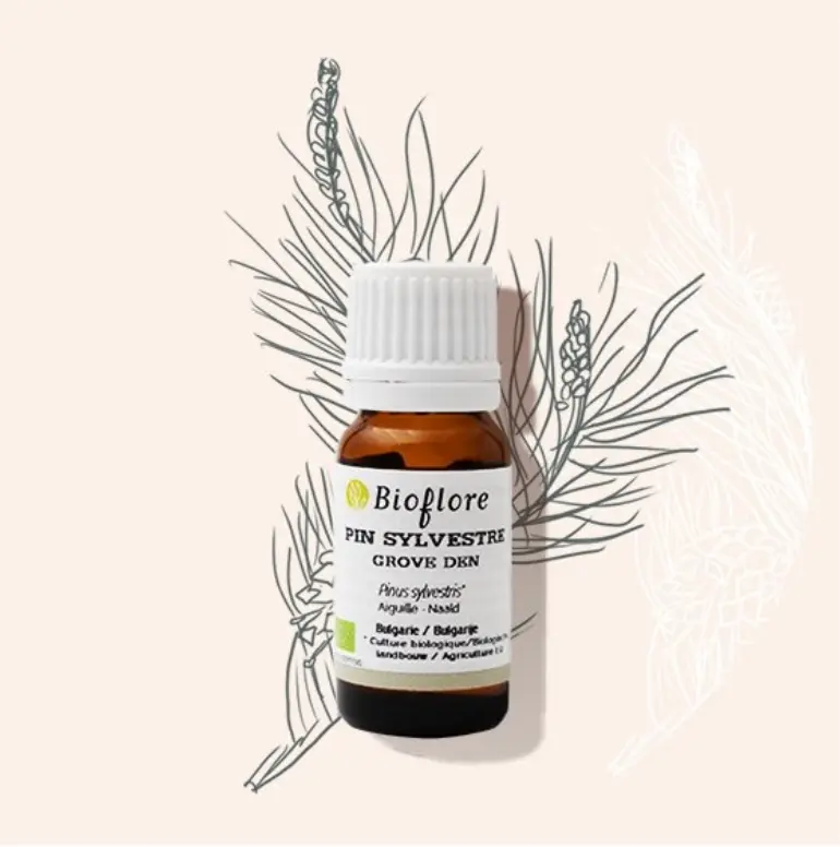 Huile essentielle de Pin sylvestre bio – 10 ml