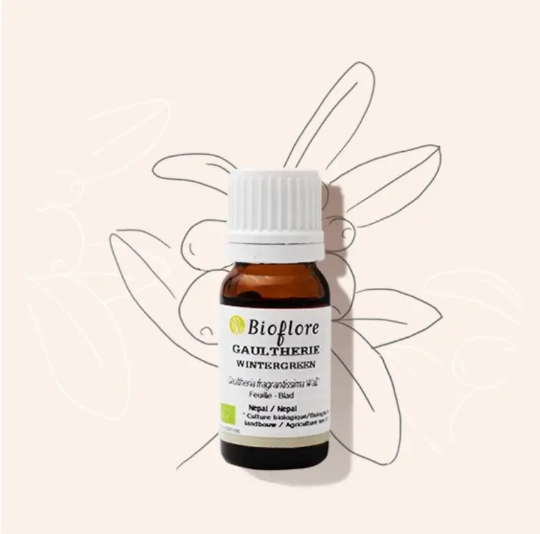 Huile Essentielle de Gaulthérie Odorante Bio – Bioflore (10 ml)