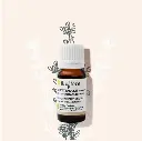 Huile Essentielle de Lavande Fine Sauvage Bio – Bioflore (10 ml)