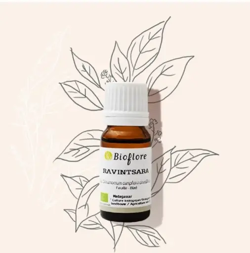 [HECICACIB10] Huile essentielle de Ravintsara bio – 10 ml