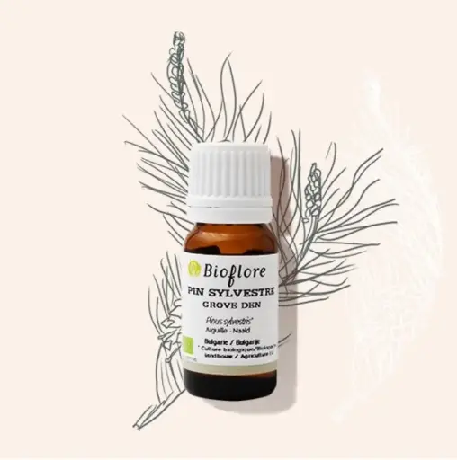 Huile essentielle de Pin sylvestre bio – 10 ml