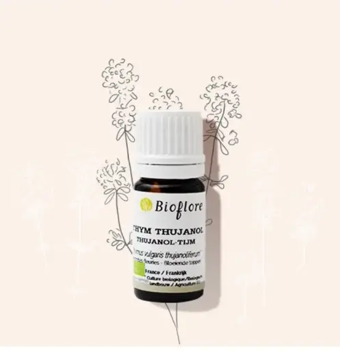 [HETHVUTJ5] Huile essentielle de Thym à thujanol bio – 5 ml